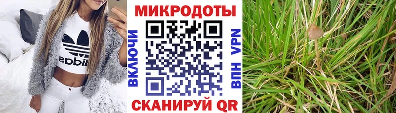 blacksprut как зайти  нарко площадка как зайти  Псилоцибиновые грибы Psilocybe  Мензелинск 